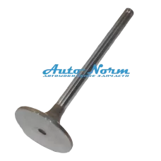 Клап впуск-выпуск м/кт  С245-20/С 300-20,ISBE 285-30